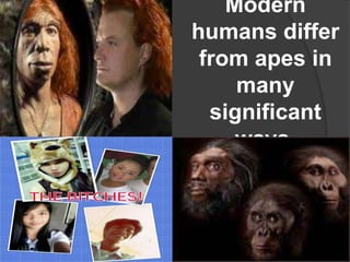 Modern
humans differ
from apes in
many
significant
ways.
 