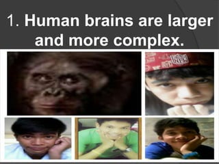 1. Human brains are larger
and more complex.
 
