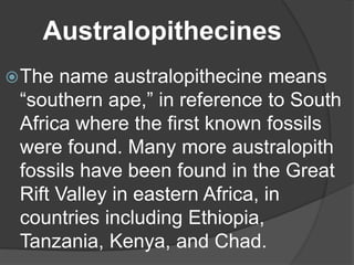 Australopithecines
The name australopithecine means
“southern ape,” in reference to South
Africa where the first known fossils
were found. Many more australopith
fossils have been found in the Great
Rift Valley in eastern Africa, in
countries including Ethiopia,
Tanzania, Kenya, and Chad.
 