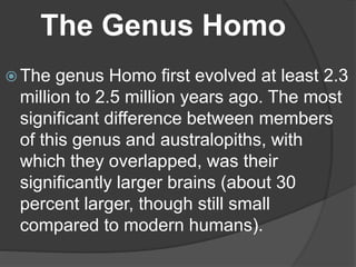 The Genus Homo
 The genus Homo first evolved at least 2.3
million to 2.5 million years ago. The most
significant difference between members
of this genus and australopiths, with
which they overlapped, was their
significantly larger brains (about 30
percent larger, though still small
compared to modern humans).
 