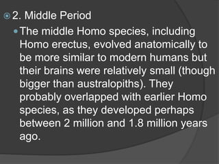  2. Middle Period
The middle Homo species, including
Homo erectus, evolved anatomically to
be more similar to modern humans but
their brains were relatively small (though
bigger than australopiths). They
probably overlapped with earlier Homo
species, as they developed perhaps
between 2 million and 1.8 million years
ago.
 