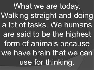 What we are today.
Walking straight and doing
a lot of tasks. We humans
are said to be the highest
form of animals because
we have brain that we can
use for thinking.
 