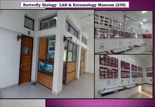 Butterfly Biology LAB & Entomology Museum (239) 
