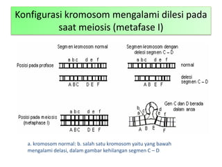 mutasi kromosom | PPTX