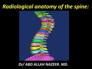 Radiological anatomy of the spine: 
Dr/ ABD ALLAH NAZEER. MD. 
 
