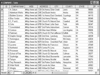 • An imported dBASE file. 
 