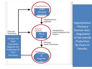 Hypotyhalmo 
- Pituitary- 
Ovarian Axis - 
--Regulation 
of Sex steroid 
Production 
By Ovary In 
Females 
GnRH 
releasing 
Hormone 
FSH & 
LH 
Estrogen 
& 
Progester 
one 
-Ve And +Ve 
Feed 
machanism 
Regulate the 
Production Of 
E & P 
hormones 
 