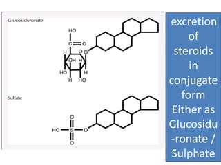 excretion 
of 
steroids 
in 
conjugate 
form 
Either as 
Glucosidu 
-ronate / 
Sulphate 
 