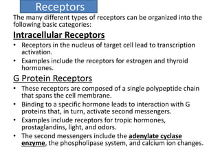 Receptors 
The many different types of receptors can be organized into the 
following basic categories: 
Intracellular Receptors 
• Receptors in the nucleus of target cell lead to transcription 
activation. 
• Examples include the receptors for estrogen and thyroid 
hormones. 
G Protein Receptors 
• These receptors are composed of a single polypeptide chain 
that spans the cell membrane. 
• Binding to a specific hormone leads to interaction with G 
proteins that, in turn, activate second messengers. 
• Examples include receptors for tropic hormones, 
prostaglandins, light, and odors. 
• The second messengers include the adenylate cyclase 
enzyme, the phospholipase system, and calcium ion changes. 
 