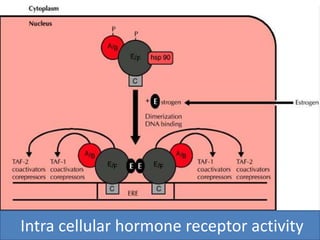 Intra cellular hormone receptor activity 
 