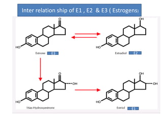 Inter relation ship of E1 , E2 & E3 ( Estrogens) 
E3 E2 
E1 
 