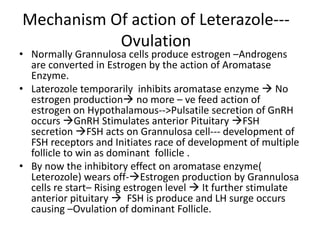 Mechanism Of action of Leterazole--- 
Ovulation 
• Normally Grannulosa cells produce estrogen –Androgens 
are converted in Estrogen by the action of Aromatase 
Enzyme. 
• Laterozole temporarily inhibits aromatase enzyme  No 
estrogen production no more – ve feed action of 
estrogen on Hypothalamous-->Pulsatile secretion of GnRH 
occurs GnRH Stimulates anterior Pituitary FSH 
secretion FSH acts on Grannulosa cell--- development of 
FSH receptors and Initiates race of development of multiple 
follicle to win as dominant follicle . 
• By now the inhibitory effect on aromatase enzyme( 
Leterozole) wears off-Estrogen production by Grannulosa 
cells re start– Rising estrogen level  It further stimulate 
anterior pituitary  FSH is produce and LH surge occurs 
causing –Ovulation of dominant Follicle. 
 