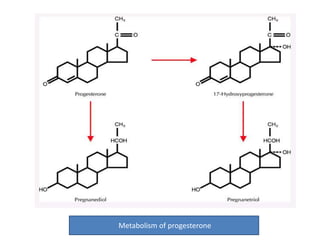 Metabolism of progesterone 
 