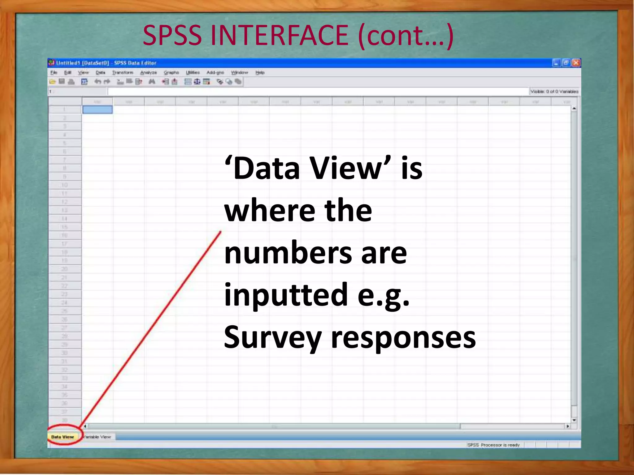 SPSS INTERFACE (cont…) 
‘Data View’ is 
where the 
numbers are 
inputted e.g. 
Survey responses 
 
