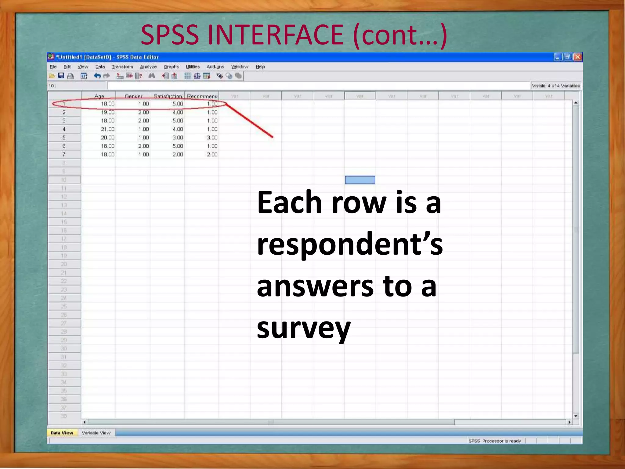 SPSS INTERFACE (cont…) 
Each row is a 
respondent’s 
answers to a 
survey 
 