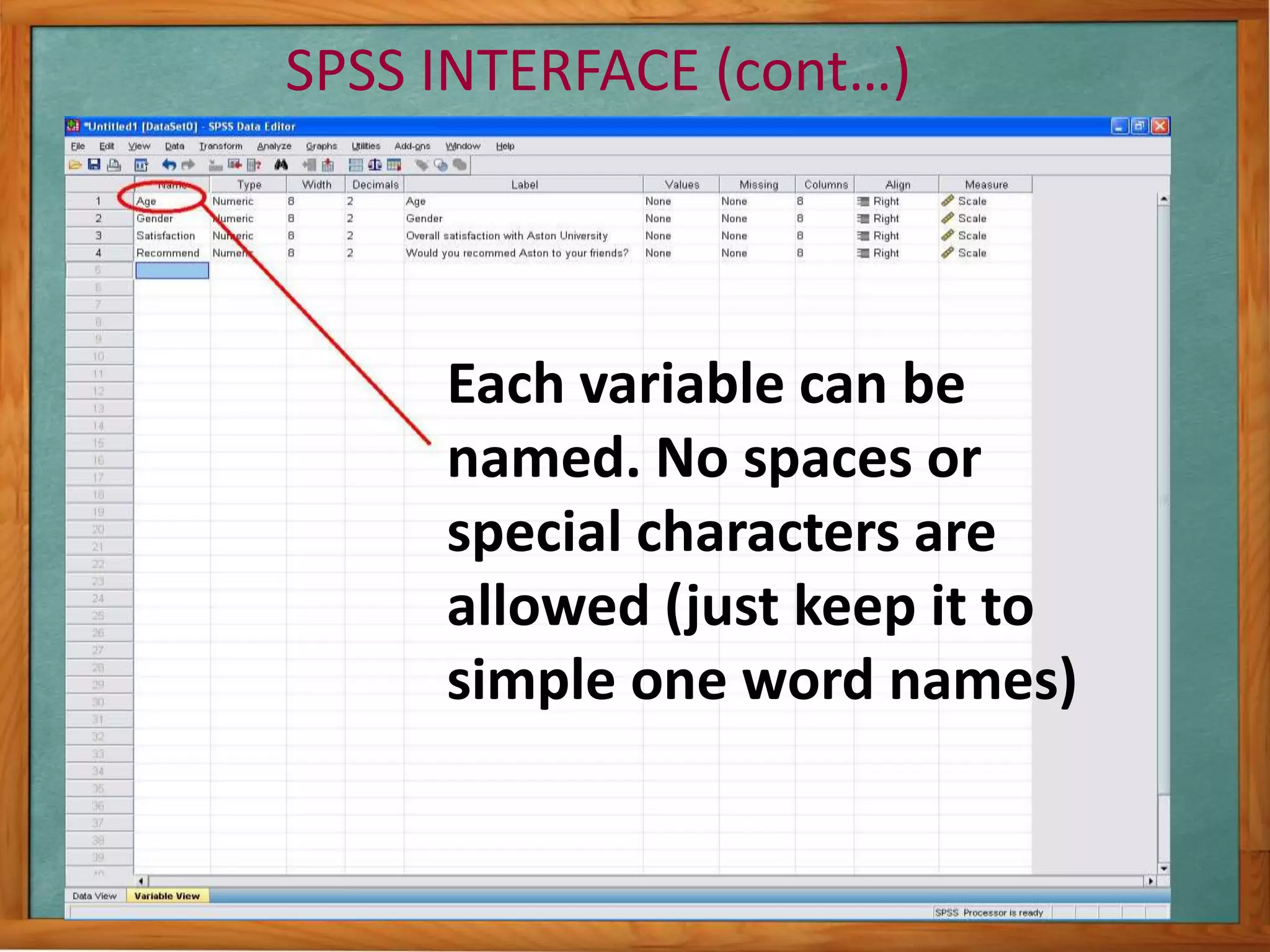 SPSS INTERFACE (cont…) 
Each variable can be 
named. No spaces or 
special characters are 
allowed (just keep it to 
simple one word names) 
 