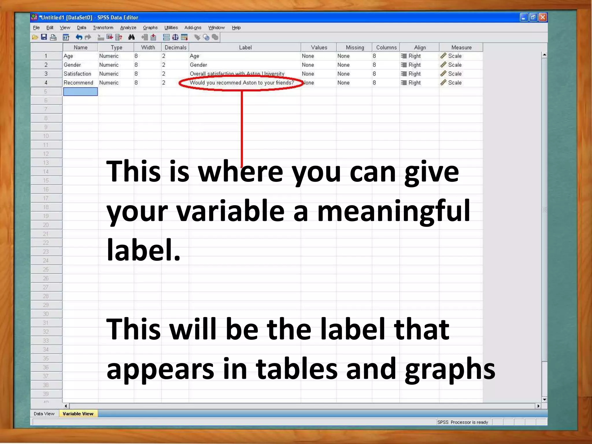 This is where you can give 
your variable a meaningful 
label. 
This will be the label that 
appears in tables and graphs 
 