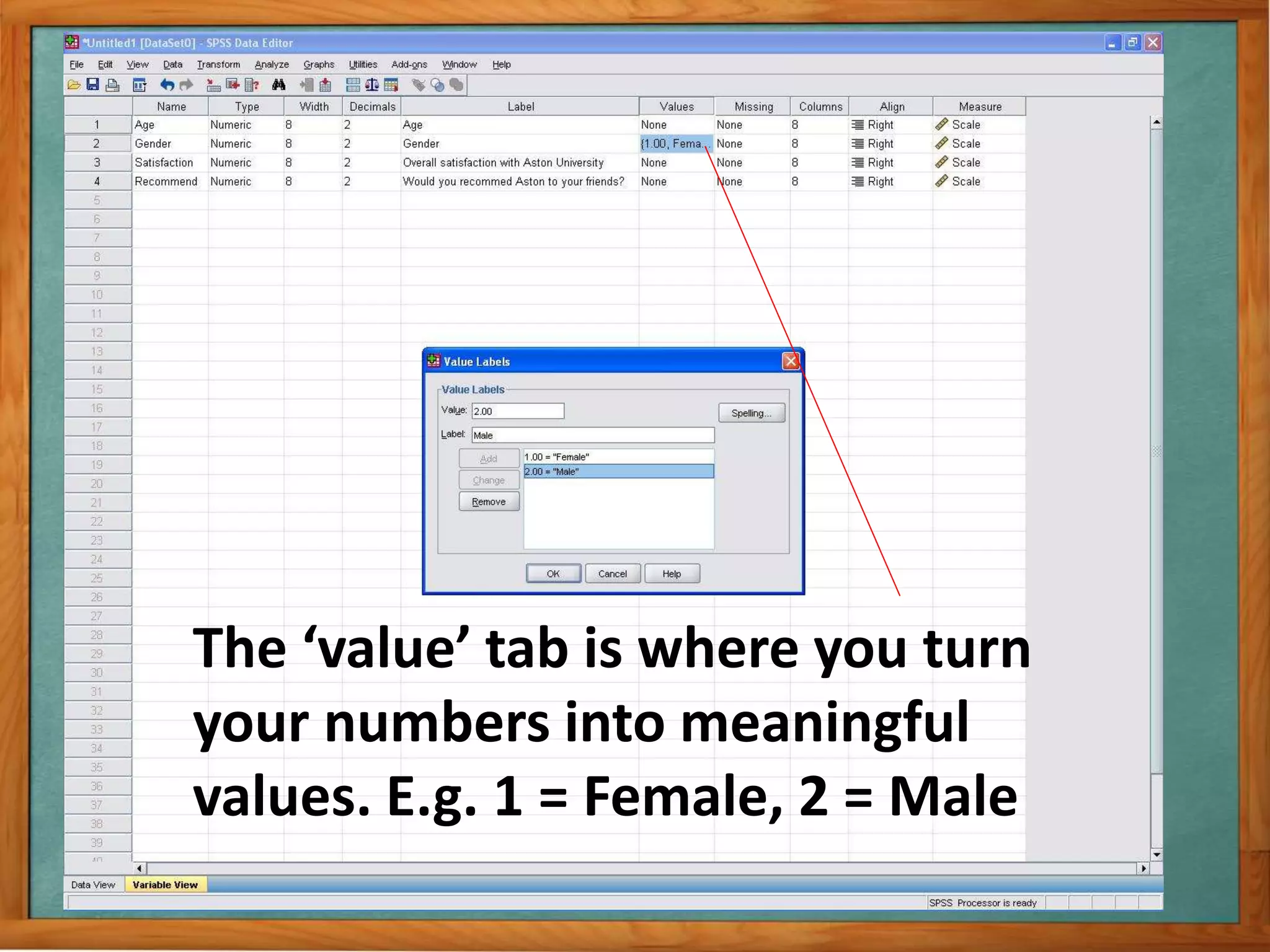 The ‘value’ tab is where you turn 
your numbers into meaningful 
values. E.g. 1 = Female, 2 = Male 
 