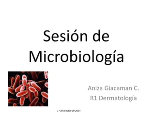 Sesión de 
Microbiología 
Aniza Giacaman C. 
R1 Dermatología 
17 de octubre de 2014 
 