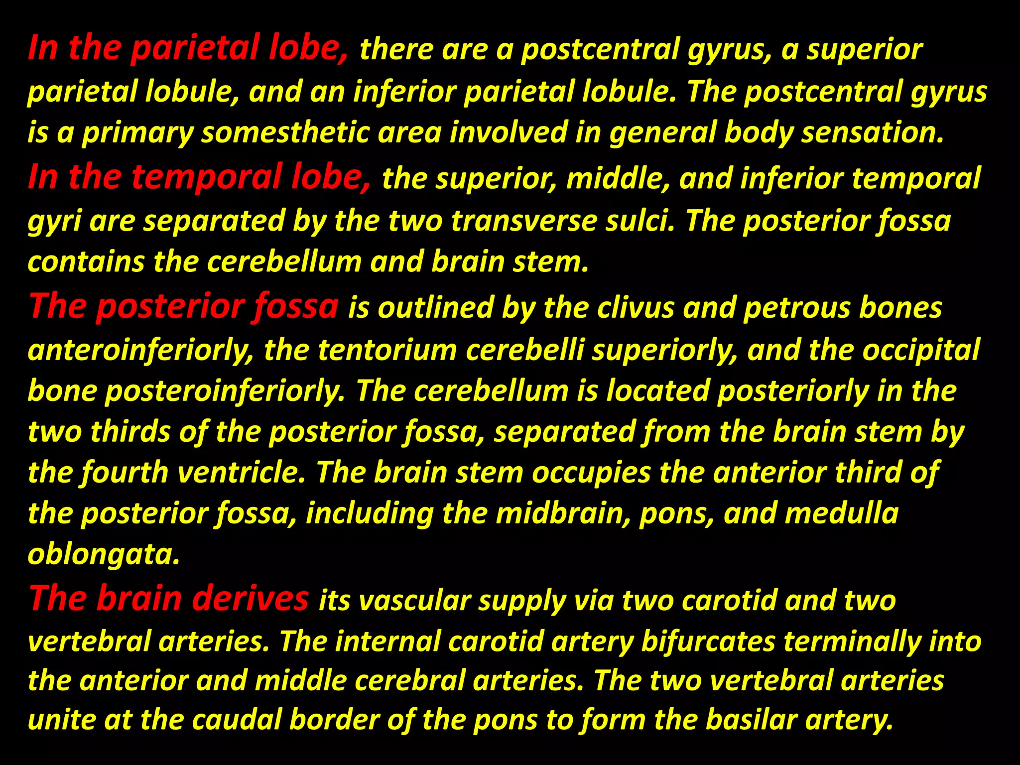 In the parietal lobe, there are a postcentral gyrus, a superior 
parietal lobule, and an inferior parietal lobule. The postcentral gyrus 
is a primary somesthetic area involved in general body sensation. 
In the temporal lobe, the superior, middle, and inferior temporal 
gyri are separated by the two transverse sulci. The posterior fossa 
contains the cerebellum and brain stem. 
The posterior fossa is outlined by the clivus and petrous bones 
anteroinferiorly, the tentorium cerebelli superiorly, and the occipital 
bone posteroinferiorly. The cerebellum is located posteriorly in the 
two thirds of the posterior fossa, separated from the brain stem by 
the fourth ventricle. The brain stem occupies the anterior third of 
the posterior fossa, including the midbrain, pons, and medulla 
oblongata. 
The brain derives its vascular supply via two carotid and two 
vertebral arteries. The internal carotid artery bifurcates terminally into 
the anterior and middle cerebral arteries. The two vertebral arteries 
unite at the caudal border of the pons to form the basilar artery. 
 