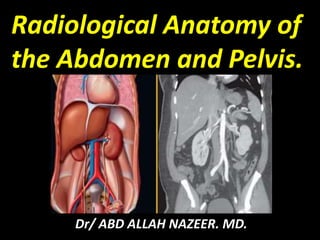 Radiological Anatomy of 
the Abdomen and Pelvis. 
Dr/ ABD ALLAH NAZEER. MD. 
 