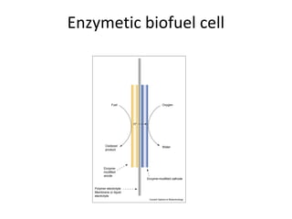 Enzymatic biofuel cells | ODP