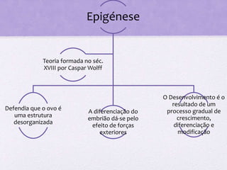 Epigénese 
Defendia que o ovo é 
uma estrutura 
desorganizada 
A diferenciação do 
embrião dá-se pelo 
efeito de forças 
exteriores 
O Desenvolvimento é o 
resultado de um 
processo gradual de 
crescimento, 
diferenciação e 
modificação 
Teoria formada no séc. 
XVIII por Caspar Wolff 
 
