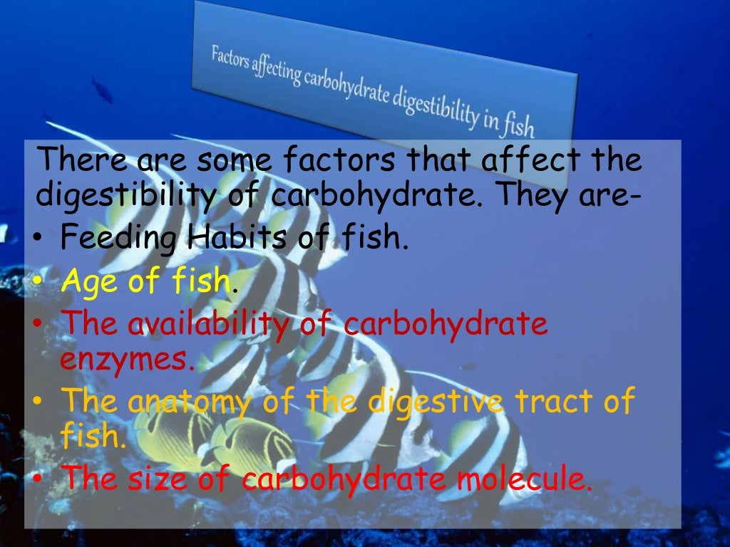 Role of carbohydrate in fish feed