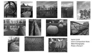 Jayme Lesak 
Unit 4: Composition Rules 
B&W Photography 
Photo 1 Period 7 
 