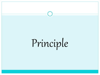 Principle
 