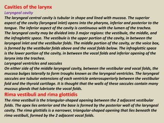 Cavities of the larynx 
Laryngeal cavity 
The laryngeal central cavity is tubular in shape and lined with mucosa. The supe...