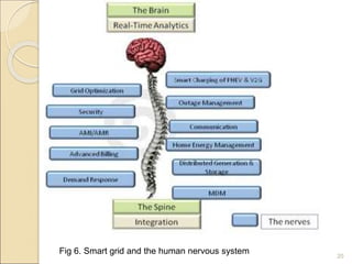 20 
Fig 6. Smart grid and the human nervous system 
 