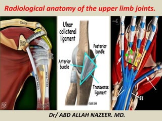Radiological anatomy of the upper limb joints.
Dr/ ABD ALLAH NAZEER. MD.
 