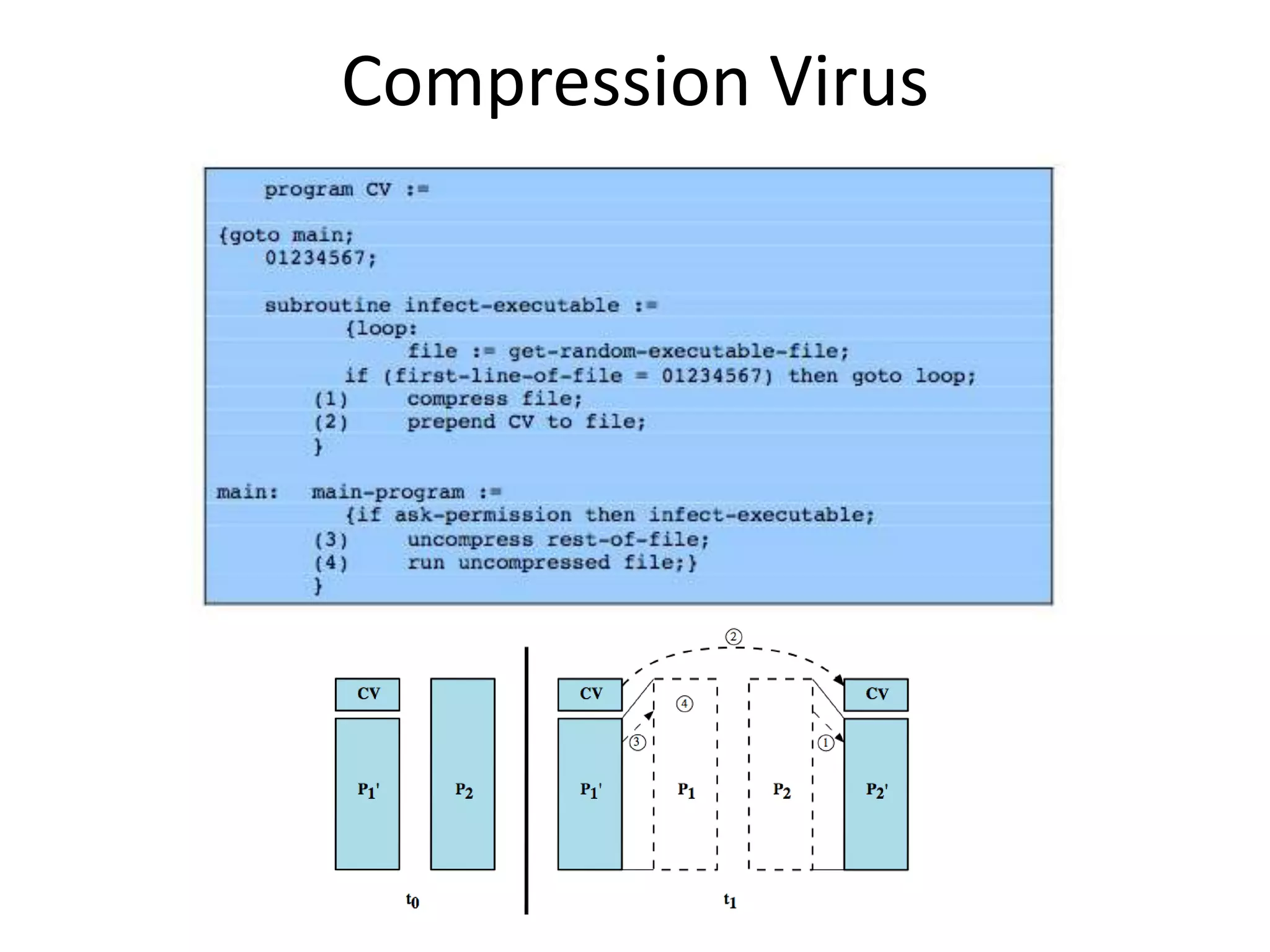 Compression Virus 