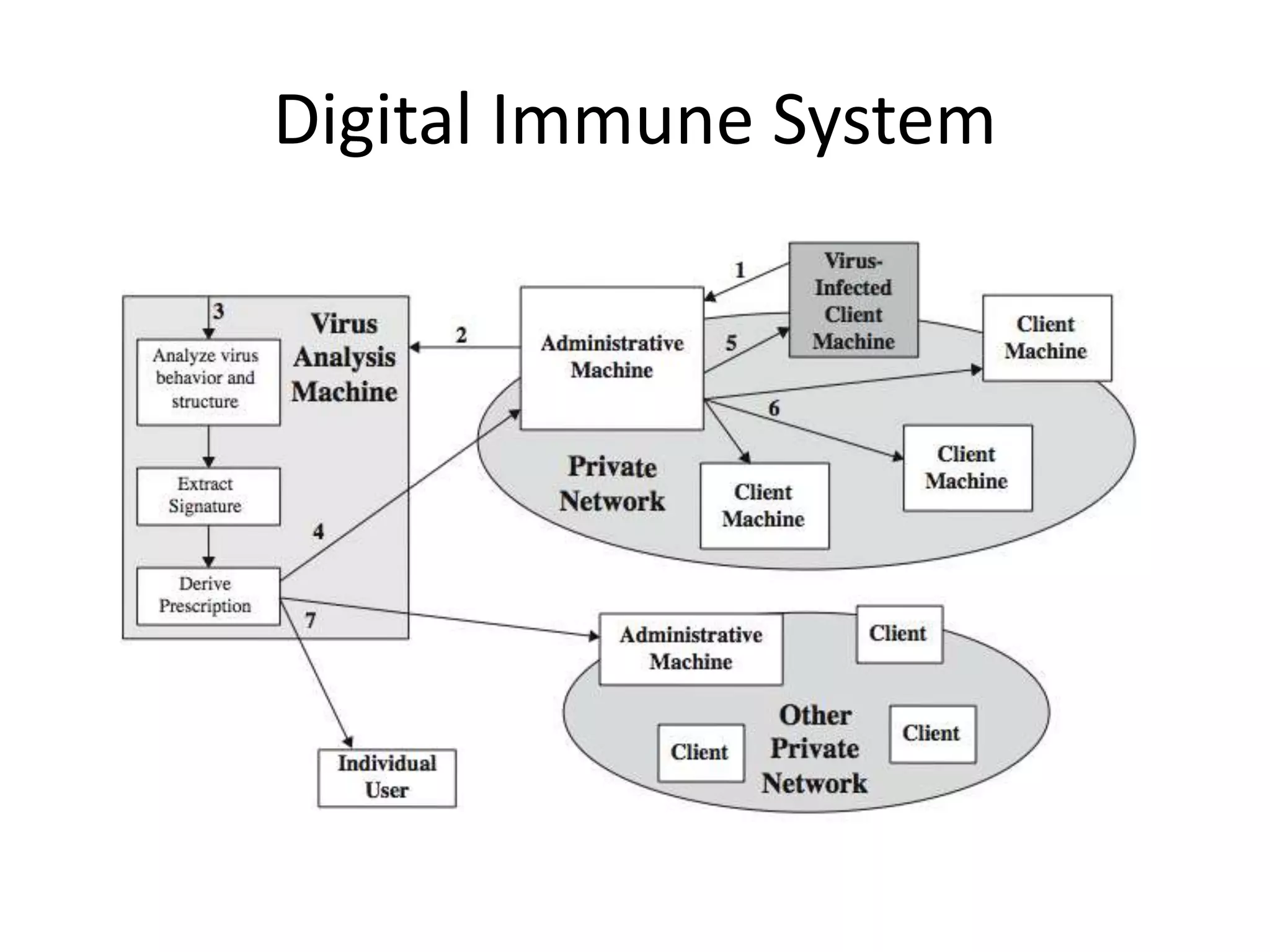 Digital Immune System 
