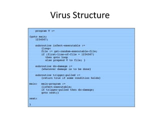 Virus Structure 
 