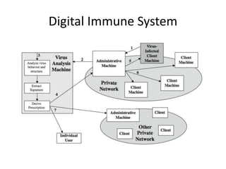 Digital Immune System 
 