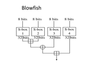 Blowfish 
 