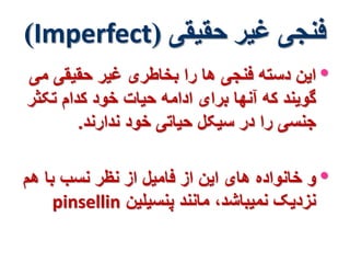 )Imperfect( فنجی غیر حقیقی 
• این دسته فنجی ها را بخاطری غیر حقیقی می 
گویند که آنها برای ادامه حیات خود کدام تکثر 
جنسی را در سیکل حیاتی خود ندارند. 
• و خانواده های این از فامیل از نظر نسب با هم 
pinsellin نزدیک نمیباشد، مانند پنسیلین 
 