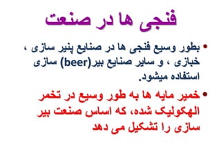 فنجی ها در صنعت 
• بطور وسیع فنجی ها در صنایع پنیر سازی ، 
سازی )beer( خبازی ، و سایر صنایع بیر 
استفاده میشود. 
• خمیر مایه ها به طور وسیع در تخمر 
الهکولیک شده، که اساس صنعت بیر 
سازی را تشکیل می دهد 
 