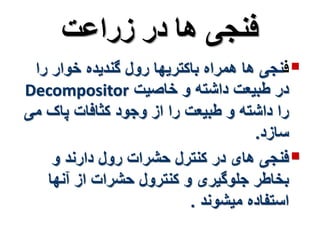 فنجی ها در زراعت 
فنجی ها همراه باکتریها رول گندیده خوار را  
Decompositor در طبیعت داشته و خاصیت 
را داشته و طبیعت را از وجود کثافات پاک می 
سازد. 
فنجی های در کنترل حشرات رول دارند و  
بخاطر جلوگیری و کنترول حشرات از آنها 
استفاده میشوند . 
 