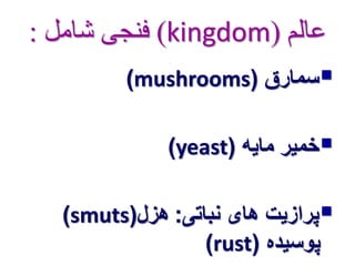 فنجی شامل : )kingdom( عالم 
)mushrooms( سمارق  
)yeast( خمیر مایه  
)smuts( پرازیت های نباتی: هزل  
)rust( پوسیده 
 