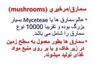 )mushrooms( سمارق/مرخیړي 
بسیار Myceteae • عالم سمارق ها یا 
بزرگ بوده و تقریبا 10000 نوع 
سمارق را شامل می باشد. 
•سمارق ها بطور معمول به سطح زمین 
در زیر خاک و یا بر روی منبع مواد 
غذای تولید میشوند. 
 