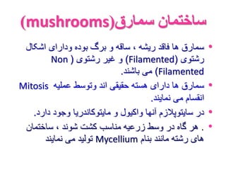 )mushrooms( ساختمان سمارق 
• سمارق ها فاقد ریشه ، ساقه و برگ بوده ودارای اشکال 
Non ( و غیر رشتوی )Filamented( رشتوی 
می باشند. )Filamented 
Mitosis • سمارق ها دارای هسته حقیقی اند وتوسط عملیه 
انقسام می نمایند. 
• در سایتوپلازم آنها واکیول و مایتوکاندریا وجود دارد. 
• . هر گاه در وسط زرعیه مناسب کشت شوند ، ساختمان 
تولید می نمایند Mycellium های رشته مانند بنام 
 