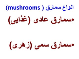 )mushrooms ( انواع سمارق 
•سمارق عادی )غذایی( 
•سمارق سمی )زهری( 
 
