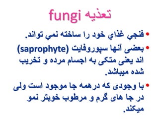 fungi تعذیه 
• فنجي غذاي خود را ساخته نمي تواند. 
)saprophyte( • بعضی آنها سپوروفایت 
اند یعنی متکی به اجسام مرده و تخریب 
شده میباشد. 
• با وجودی که درهمه جا موجود است ولی 
در جا های گرم و مرطوب خوبتر نمو 
میکند. 
 