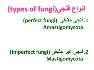 (types of fungi( انواع فنجی 
)perfect fungi( 1. فنجی حقیقی 
Amastigomycota 
)Imperfect fungi( 2. فنجی غیر حقیقی 
Mastigomycota 
 