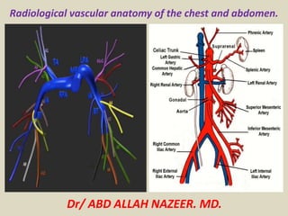 Radiological vascular anatomy of the chest and abdomen. 
Dr/ ABD ALLAH NAZEER. MD. 
 