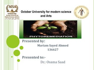October University for modern science 
and Arts 
Presented by: 
Mariam Sayed Ahmed 
136627 
Presented to:- 
Dr.: Osama Saad 
 