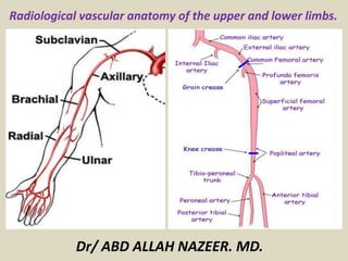 Radiological vascular anatomy of the upper and lower limbs. 
Dr/ ABD ALLAH NAZEER. MD. 
 